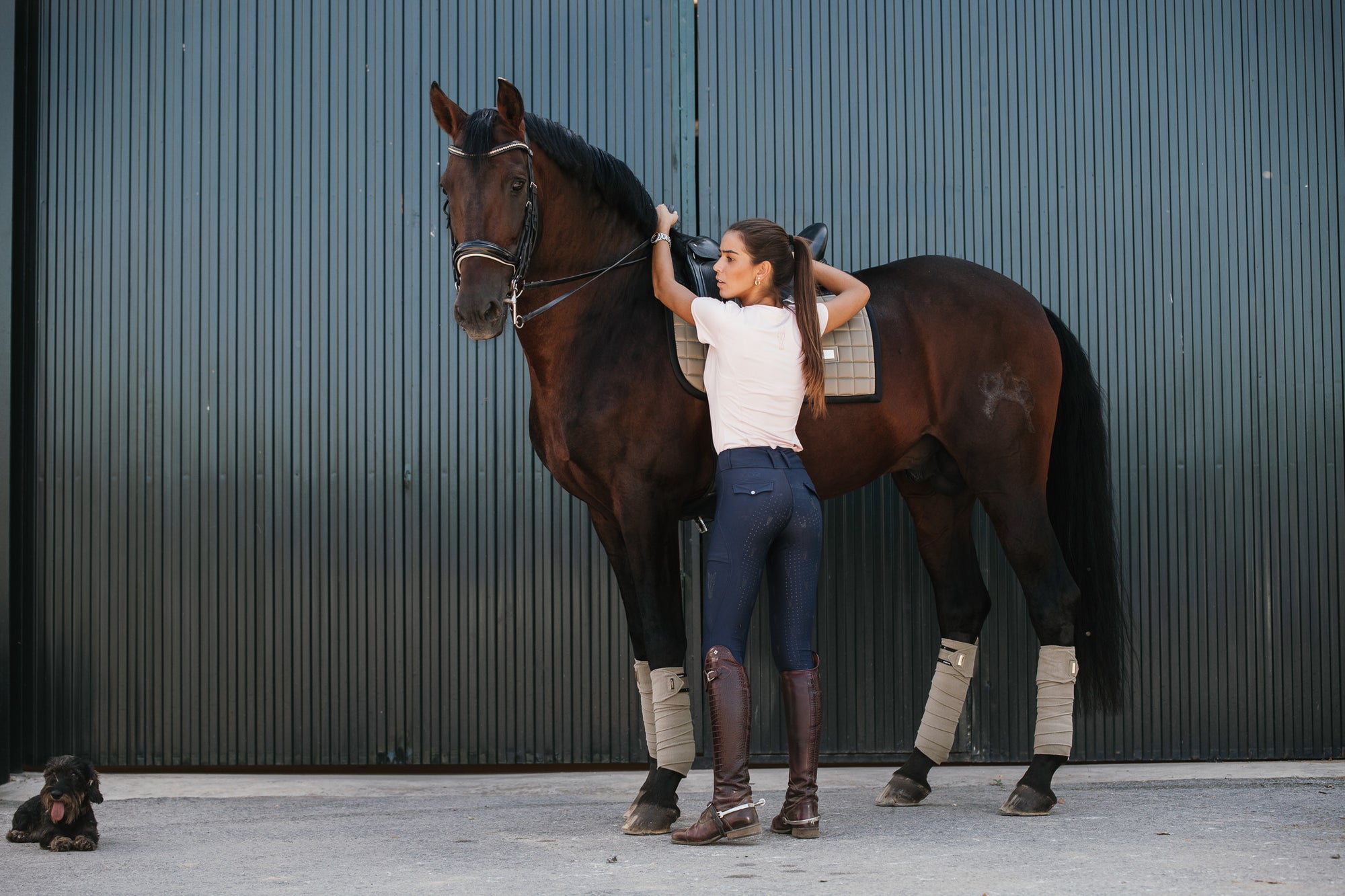 MAVRVS Breeches